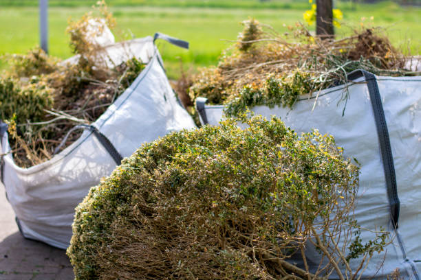 Best Commercial Cleanout Services  in Edwardsville, PA