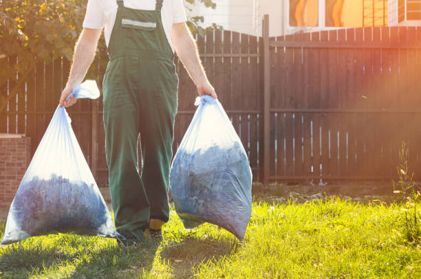 Best Basement Cleanout Services  in Edwardsville, PA